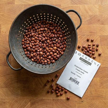 Dimpled Brown Crowder, Cowpea Seeds image number null